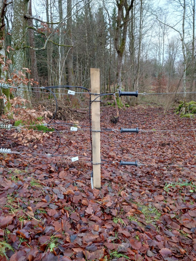 elstängsel nötdjur elstängsel nötdjur