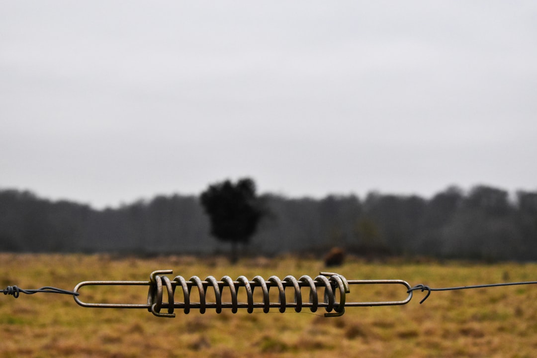 a-wire-fence-in-a-field-with-a-tree-in-the-background-r4pzd70ki5u