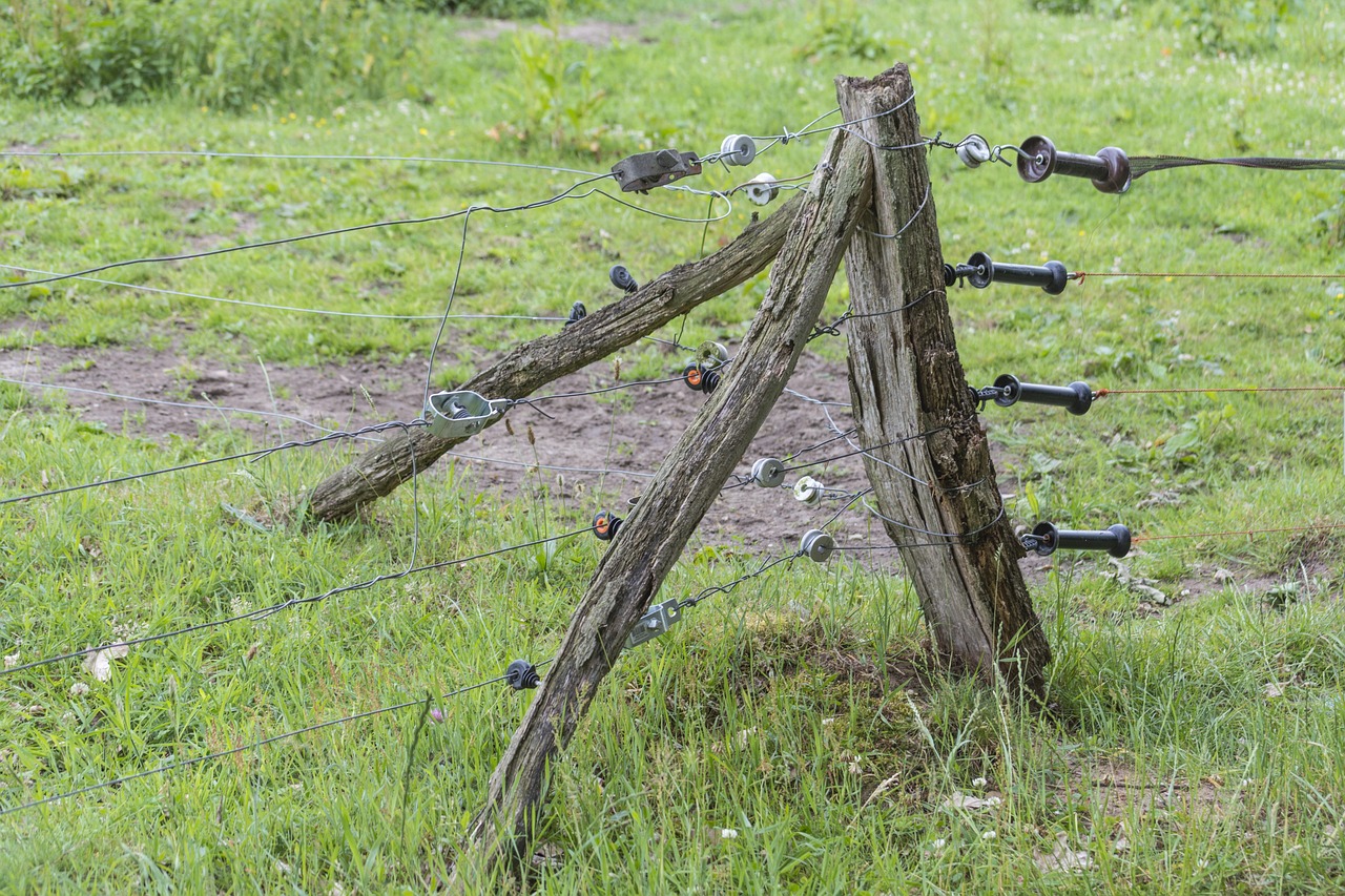 electricity, electric fence, voltage, connection, to connect, connections, communication, contact, technology, to startle, fence, to protect, electric fence, electric fence, electric fence, electric fence, electric fence