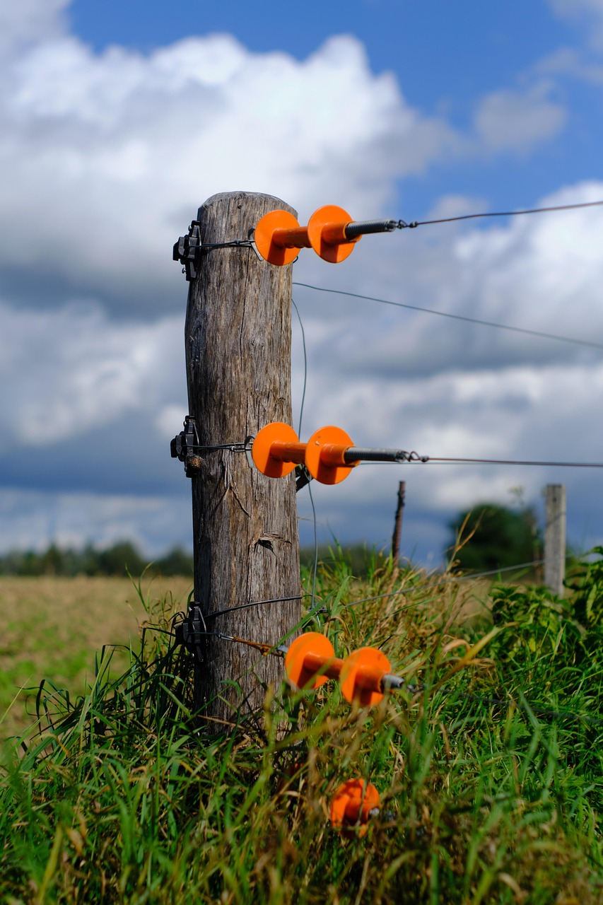 fence, pasture, pasture fence, landscape, farm